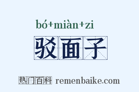驳面子是什么意思的图片